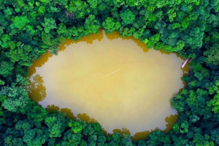 Fairy Pond